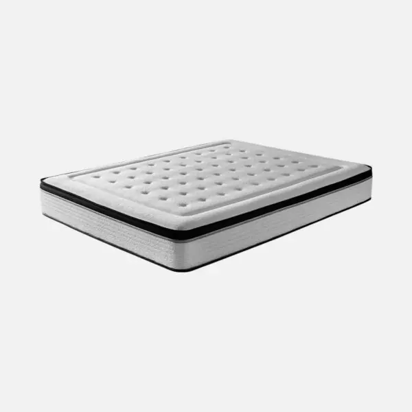 KUO Dream Bio Memory 26