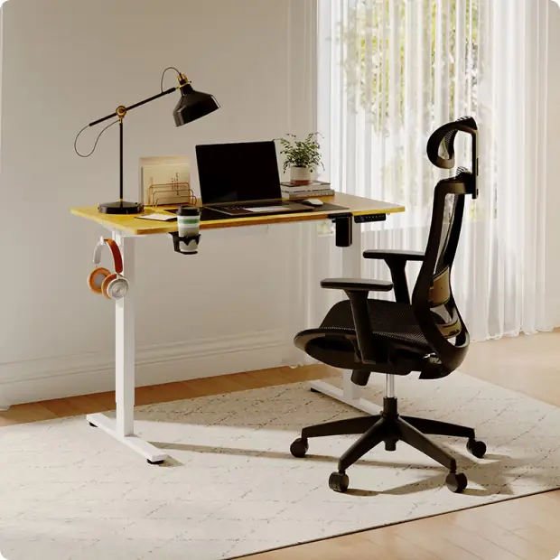 Flexispot Escritorio Elevable Eléctrico foto 2